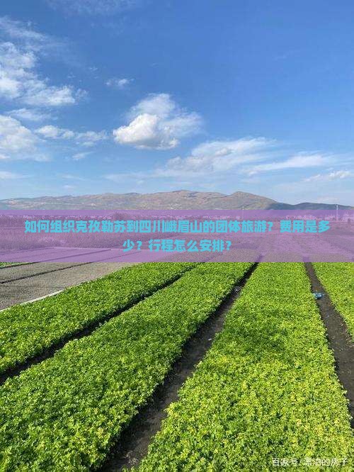 如何组织克孜勒苏到四川峨眉山的团体旅游？费用是多少？行程怎么安排？