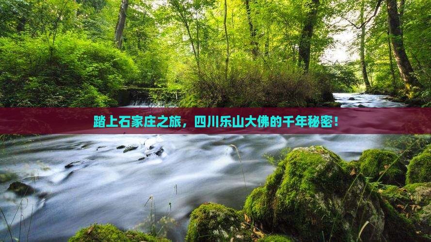 踏上石家庄之旅，四川乐山大佛的千年秘密！