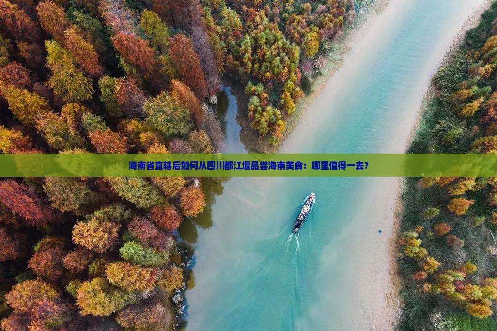 海南省直辖后如何从四川都江堰品尝海南美食：哪里值得一去？