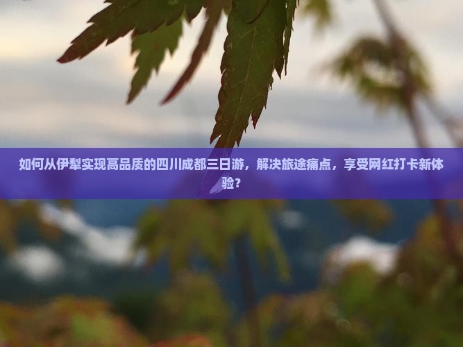 如何从伊犁实现高品质的四川成都三日游，解决旅途痛点，享受网红打卡新体验？