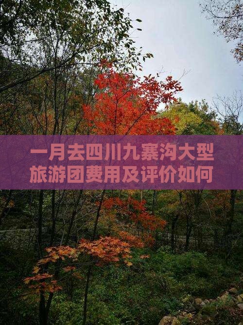 一月去四川九寨沟大型旅游团费用及评价如何