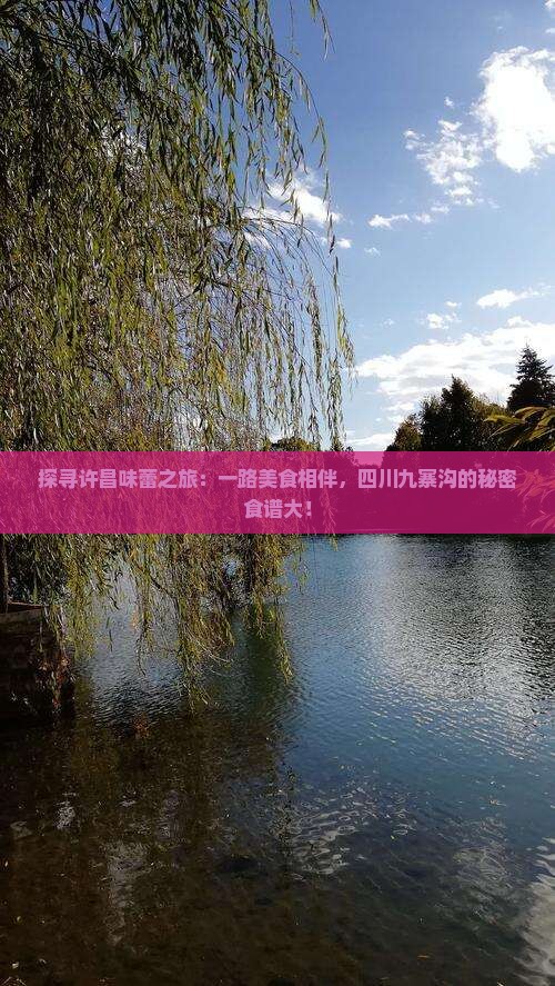 探寻许昌味蕾之旅：一路美食相伴，四川九寨沟的秘密食谱大！
