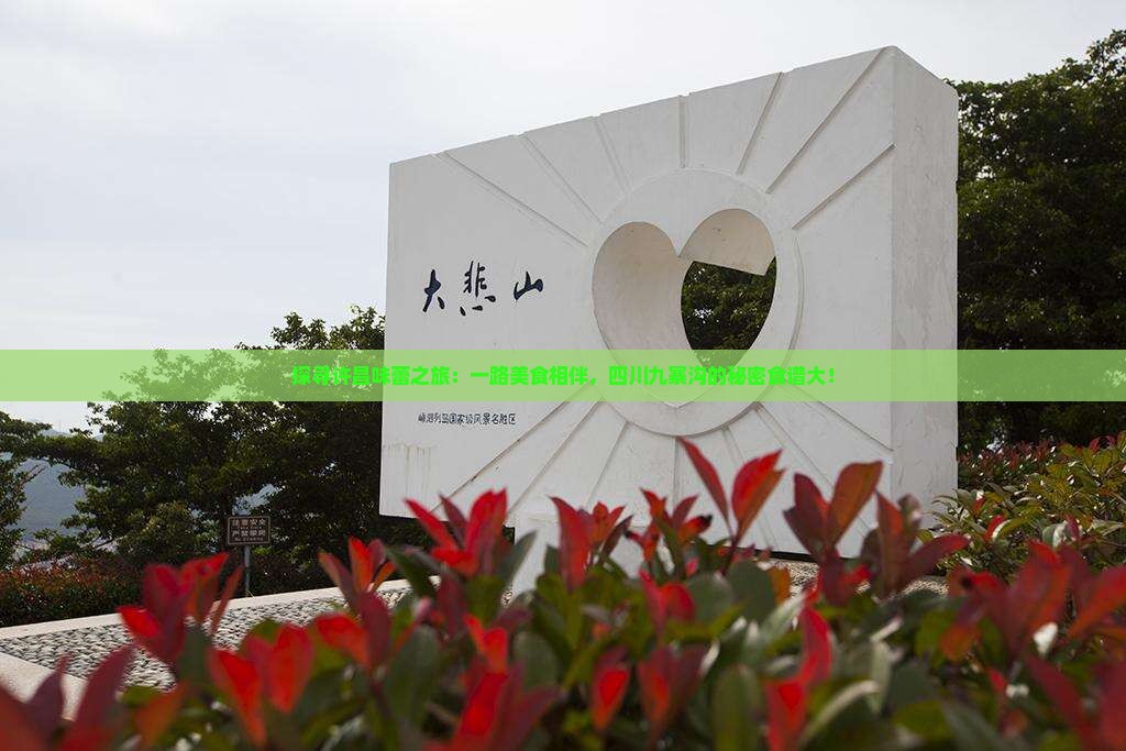 探寻许昌味蕾之旅：一路美食相伴，四川九寨沟的秘密食谱大！