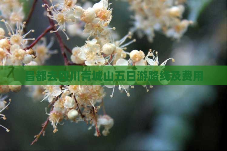 昌都去四川青城山五日游路线及费用