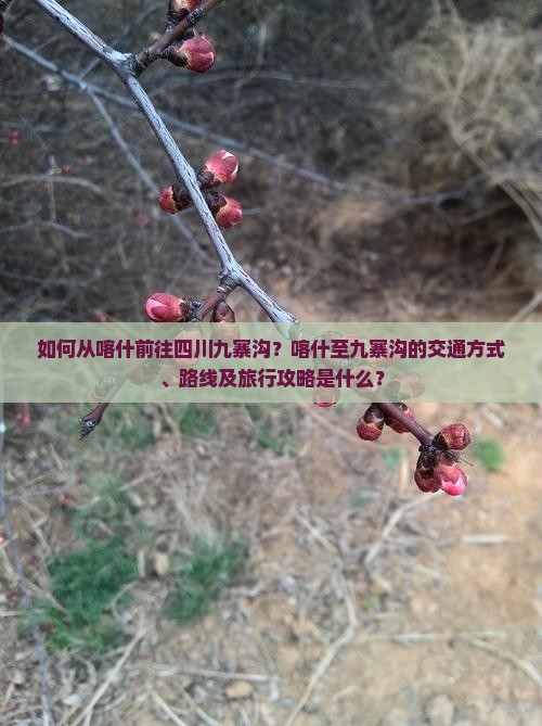 如何从喀什前往四川九寨沟？喀什至九寨沟的交通方式、路线及旅行攻略是什么？