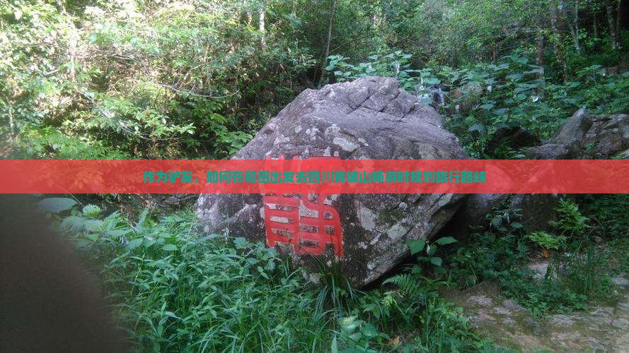 作为驴友，如何在和田出发去四川青城山畅游时规划旅行路峡