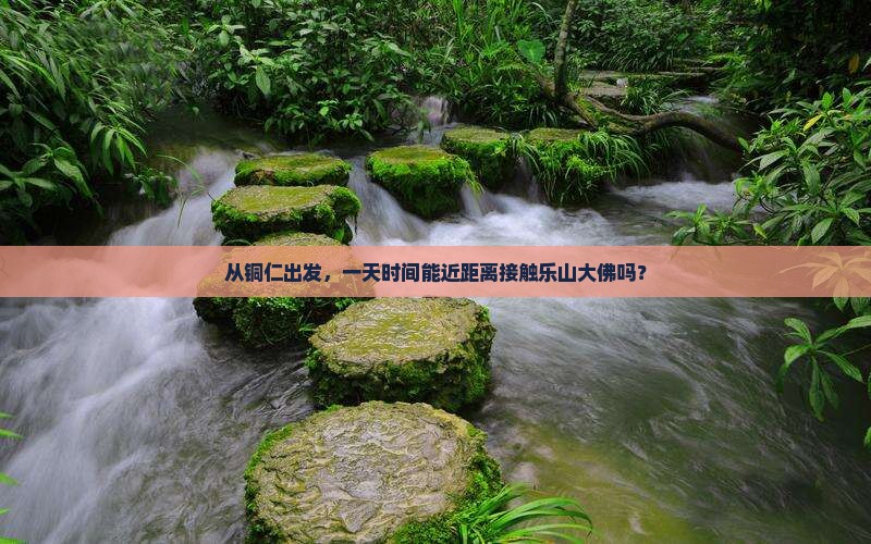 从铜仁出发，一天时间能近距离接触乐山大佛吗？