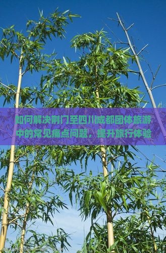 如何解决荆门至四川成都团体旅游中的常见痛点问题，提升旅行体验？