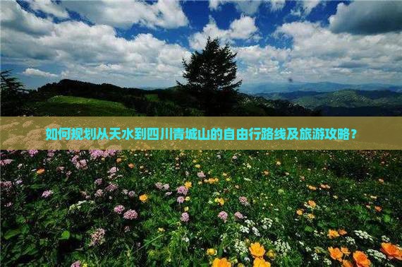 如何规划从天水到四川青城山的自由行路线及旅游攻略？
