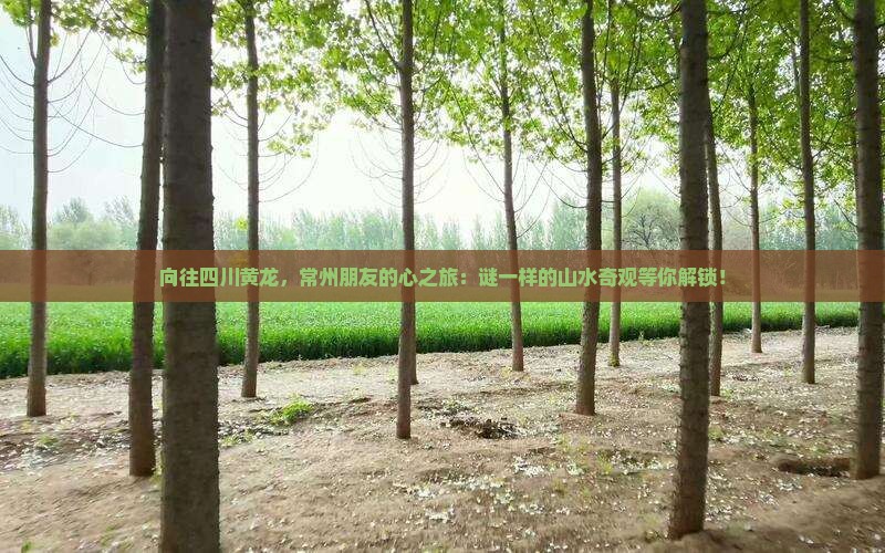 向往四川黄龙，常州朋友的心之旅：谜一样的山水奇观等你解锁！