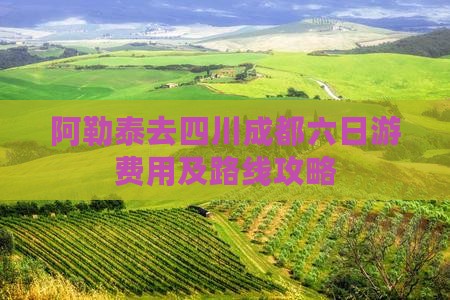 阿勒泰去四川成都六日游费用及路线攻略