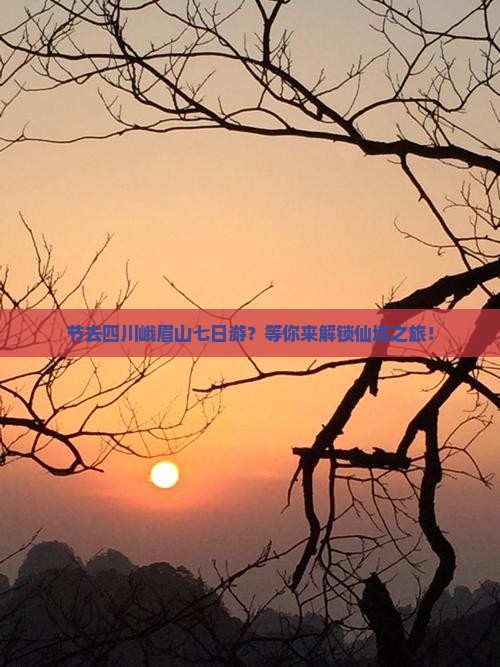 节去四川峨眉山七日游？等你来解锁仙境之旅！