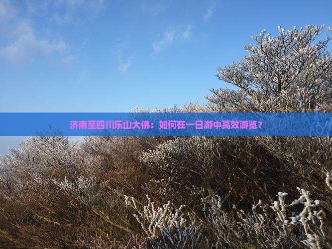 济南至四川乐山大佛：如何在一日游中高效游览？