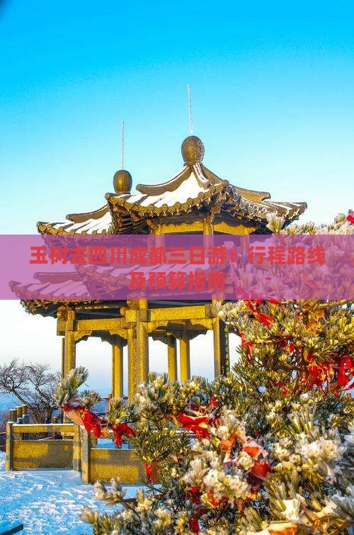 玉树去四川成都三日游：行程路线及预算指南