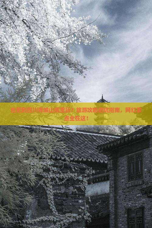 合肥到四川青城山哪里玩？旅游攻略避坑指南，网红景点全在这！