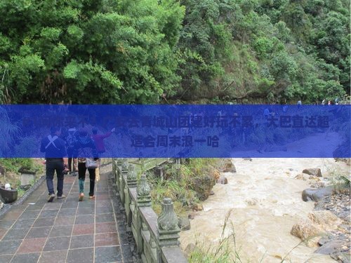 #1问你来不？广安去青城山团建好玩不累，大巴直达超适合周末浪一哈