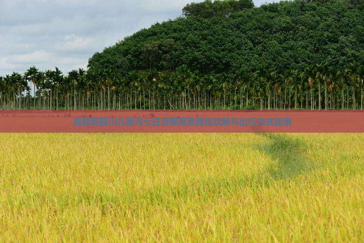 昌都到四川九寨沟七日游费用及路线攻略与出行方式指南