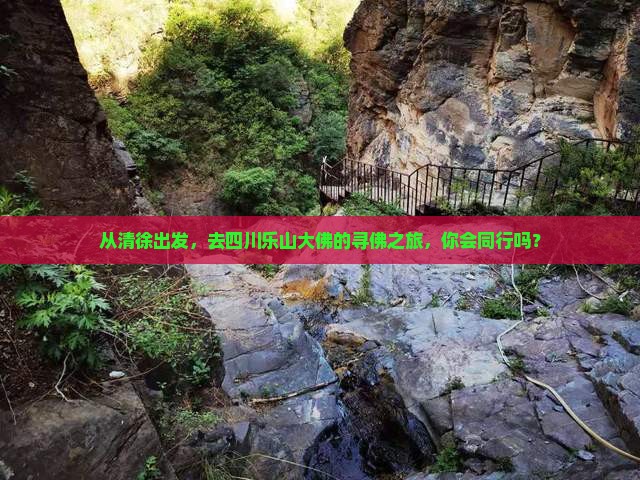 从清徐出发，去四川乐山大佛的寻佛之旅，你会同行吗？