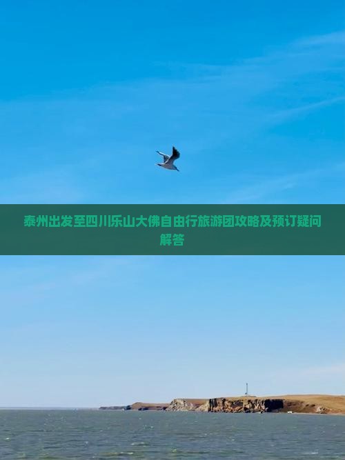 泰州出发至四川乐山大佛自由行旅游团攻略及预订疑问解答