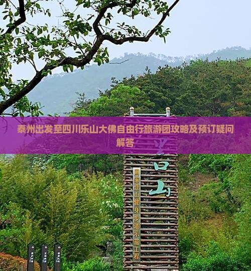 泰州出发至四川乐山大佛自由行旅游团攻略及预订疑问解答