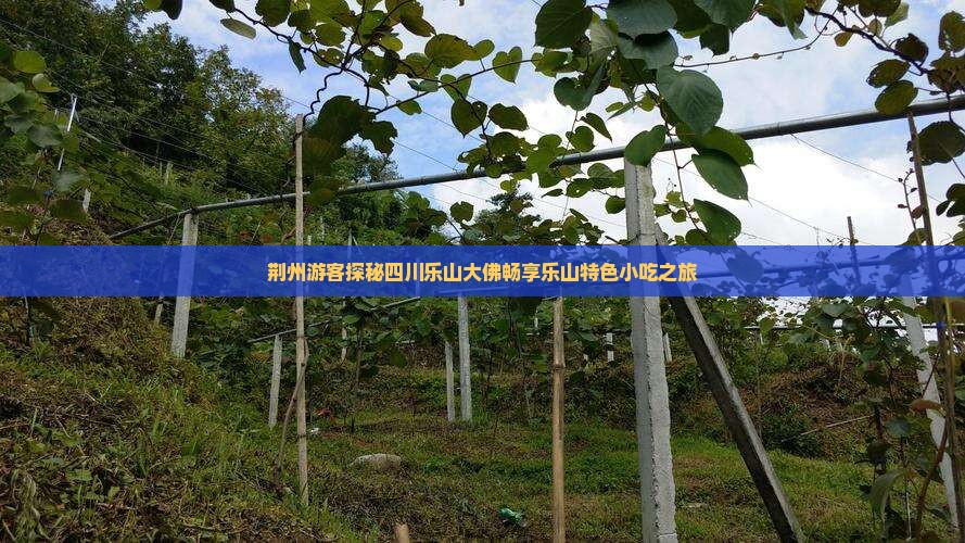 荆州游客探秘四川乐山大佛畅享乐山特色小吃之旅