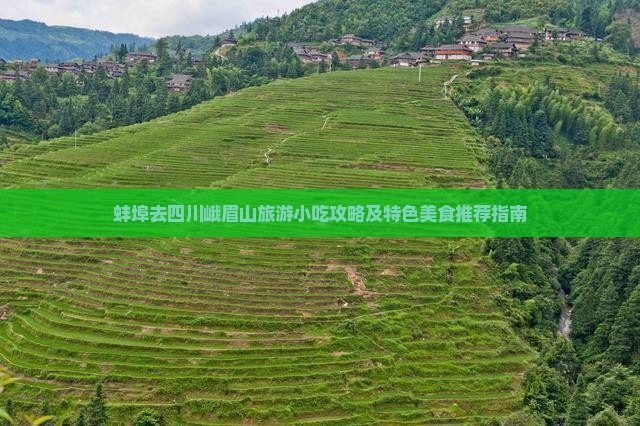 蚌埠去四川峨眉山旅游小吃攻略及特色美食推荐指南
