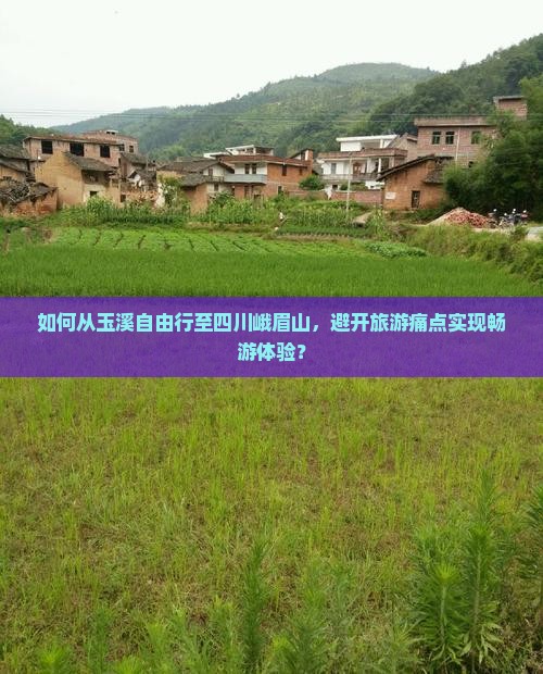 如何从玉溪自由行至四川峨眉山，避开旅游痛点实现畅游体验？