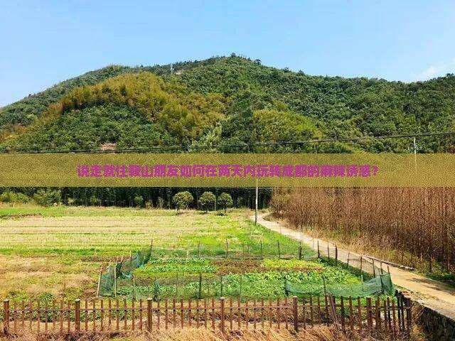 说走就住鞍山朋友如何在两天内玩转成都的麻辣诱惑？