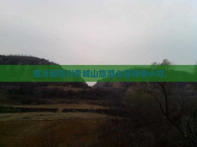 临沂到四川青城山旅游必尝特色小吃