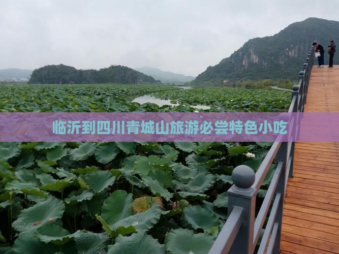 临沂到四川青城山旅游必尝特色小吃