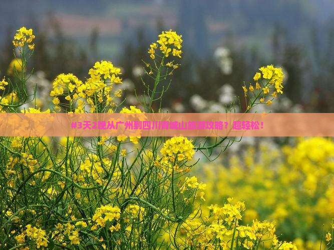 #3天2晚从广州到四川青城山旅游攻略？超轻松！