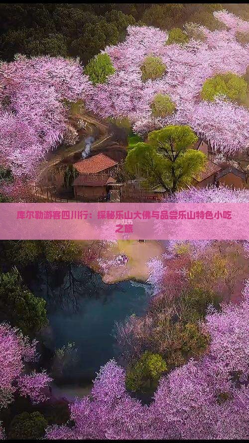 库尔勒游客四川行：探秘乐山大佛与品尝乐山特色小吃之旅