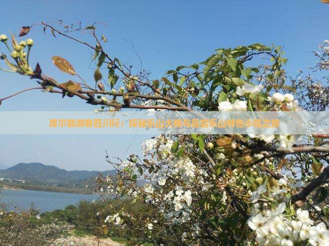 库尔勒游客四川行：探秘乐山大佛与品尝乐山特色小吃之旅