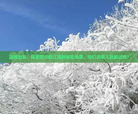 淄博出发，探索四川都江堰的秘密角落，咱们去哪儿玩最过瘾？