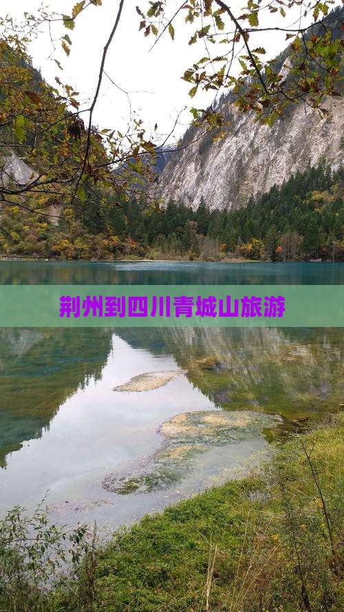 荆州到四川青城山旅行社