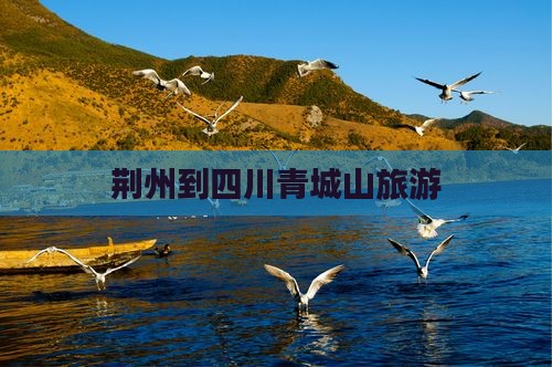 荆州到四川青城山旅行社