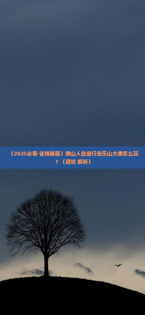 佛山去四川乐山大佛自由行
