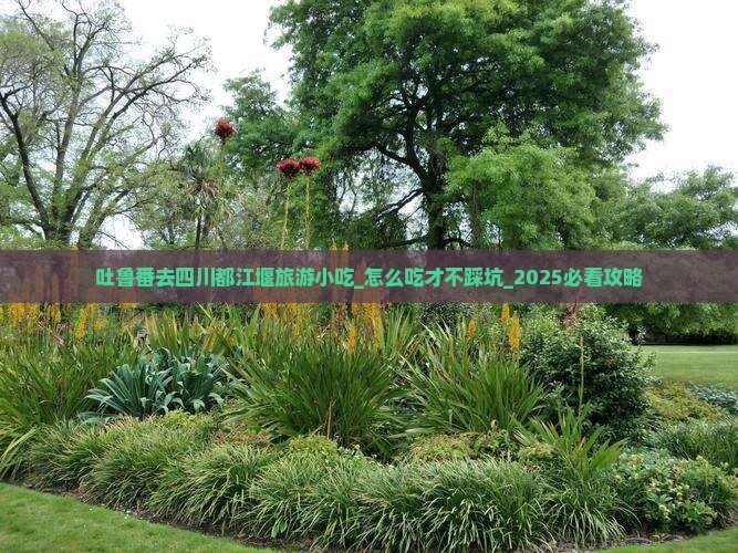 吐鲁番去四川都江堰旅游小吃