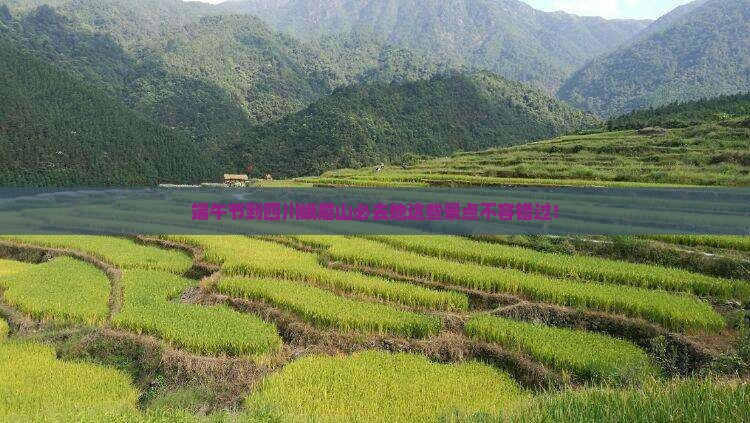 端午节到四川峨眉山必去地