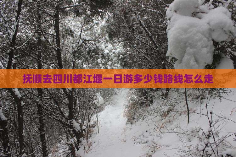 抚顺去四川都江堰一日