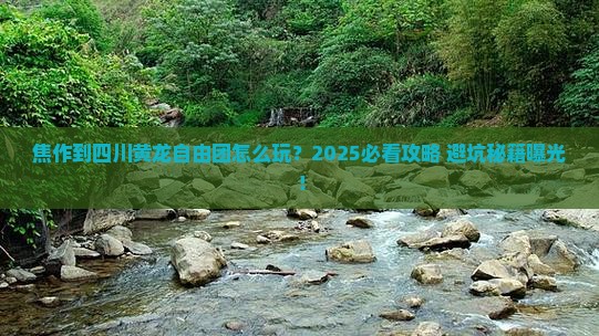 焦作到四川黄龙自由团