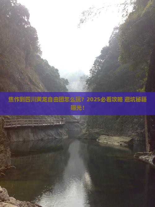 焦作到四川黄龙自由团