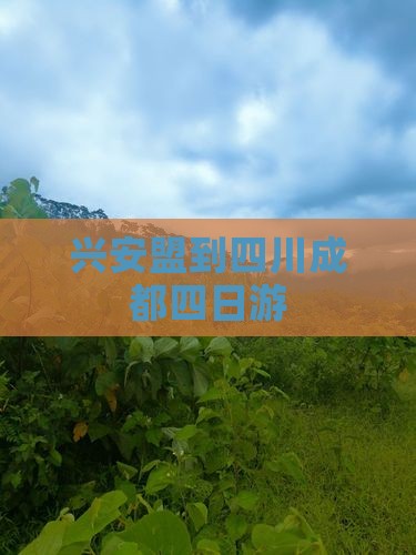 兴安盟到四川成都四日游