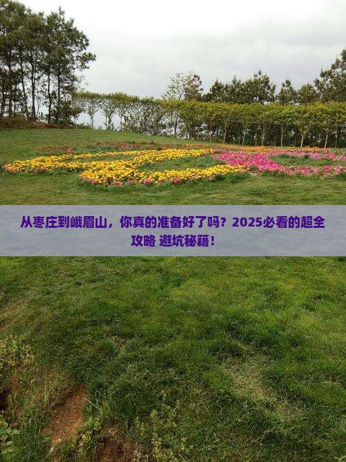 枣庄去四川峨眉山旅游
