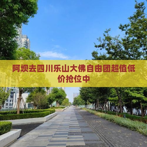 阿坝去四川乐山大佛自由团