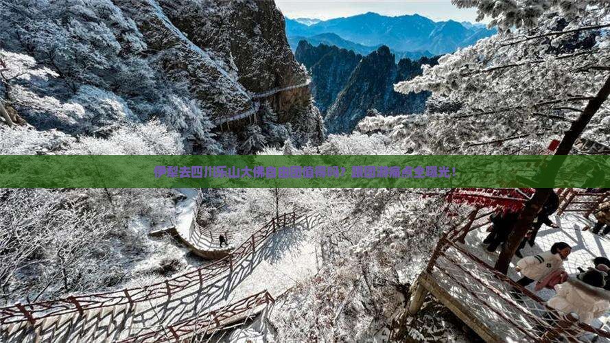 伊犁去四川乐山大佛自由团