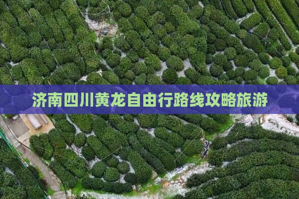 济南去四川黄龙自由行