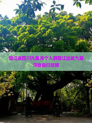 阳江去四川九寨沟个人游