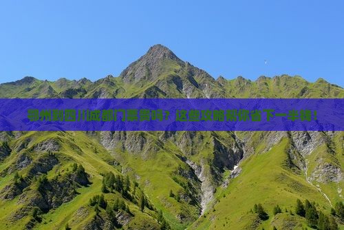 鄂州到四川成都门票