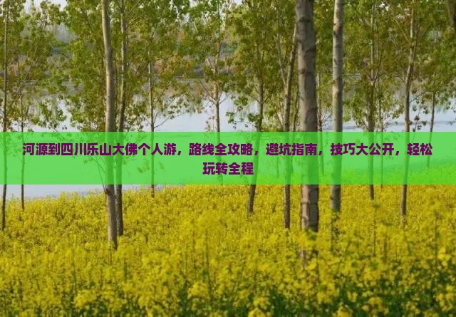 河源到四川乐山大佛个人游